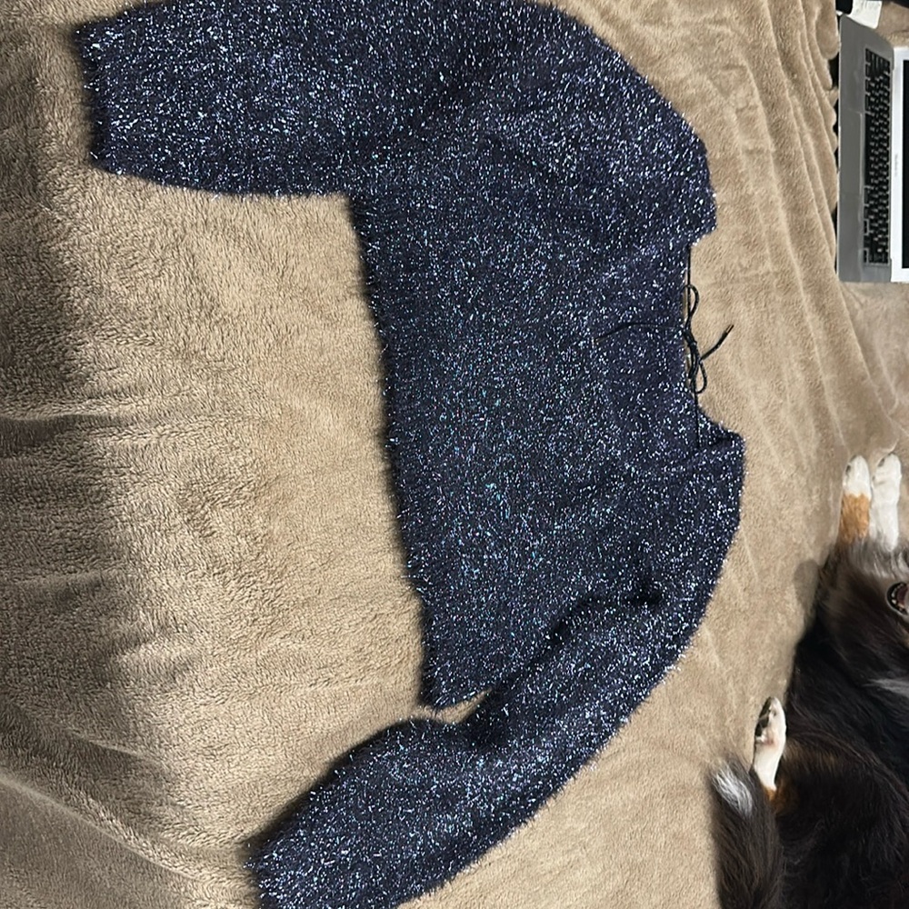 Anthropologie sweater. Scoop back with tie. Cropped.